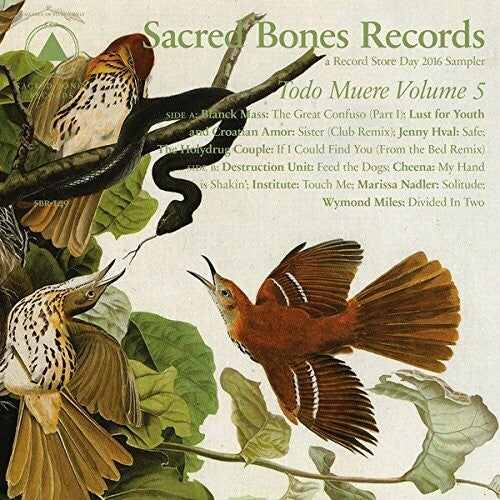 Various Artists - TODO MUERE VOL 5 (Various Artists) (Vinyl) { vinyl }
