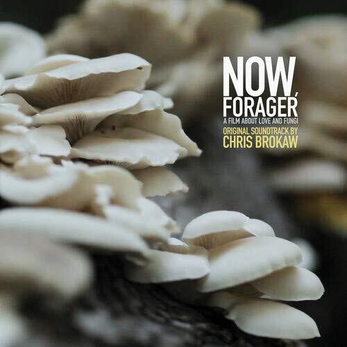 Chris Brokaw - Now Forager (Original Soundtrack) (Vinyl) { vinyl }