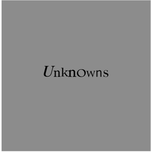 The Dead C - Unknowns (Vinyl) { vinyl }