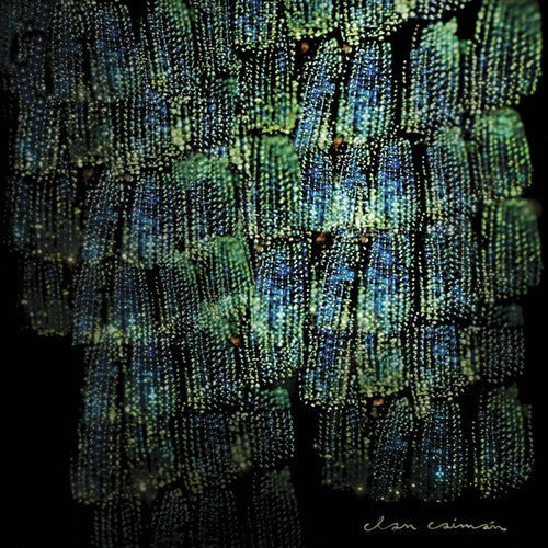 Clan Caiman - Asoma (Vinyl) { vinyl }