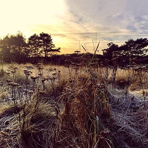 Ane Brun - Leave Me Breathless (Vinyl) { vinyl }