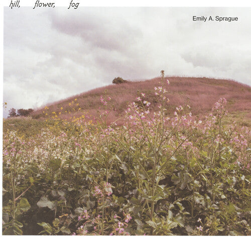 Emily A. Sprague - Hill, Flower, Fog - Foggy White (Vinyl) { vinyl }