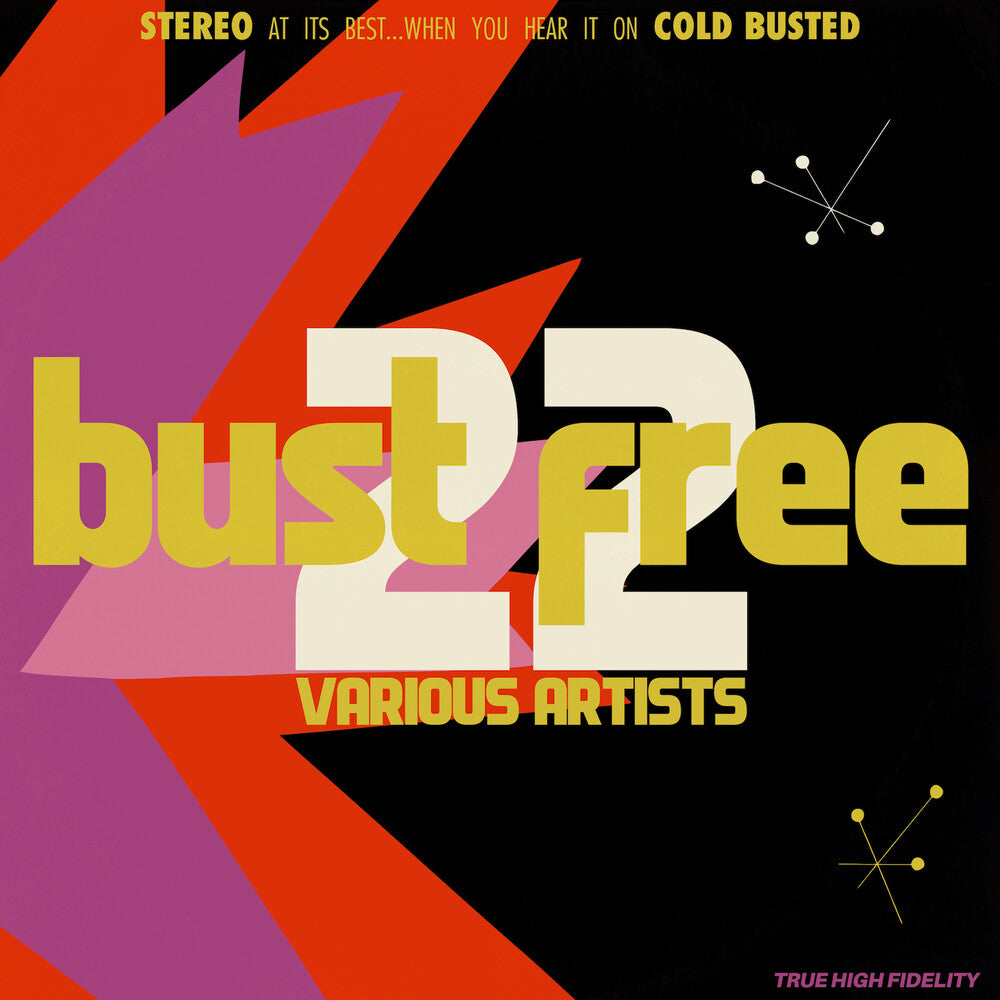 Bust Free 22 / Various - Bust Free 22 / Various (LP) { vinyl }
