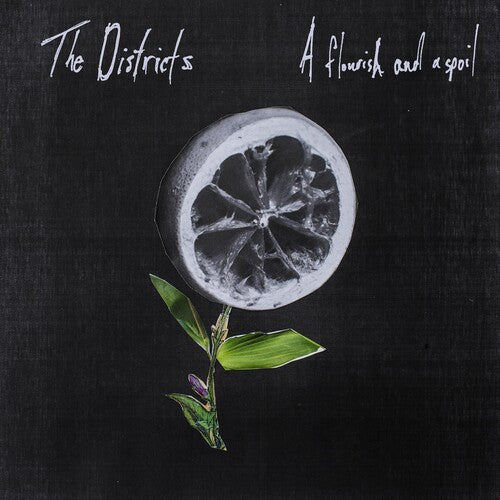 The Districts - Flourish and a Spoil (Vinyl) { vinyl }