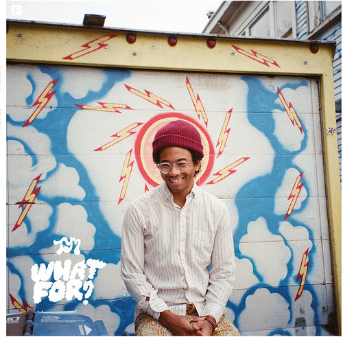 Toro y Moi - What for (Vinyl) { vinyl }