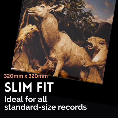 400 Pack Clear 12" Record Outer Sleeves (Slim Size)