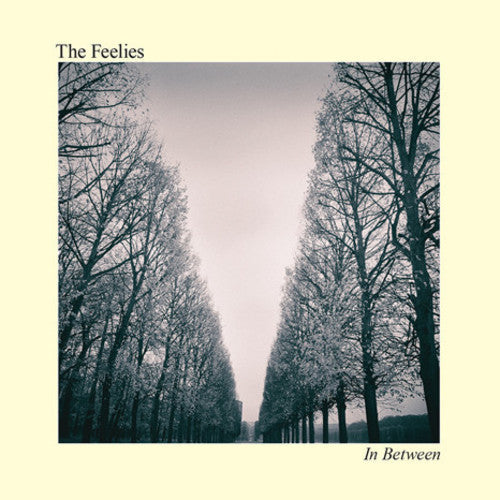 The Feelies - In Between (Vinyl) { vinyl }