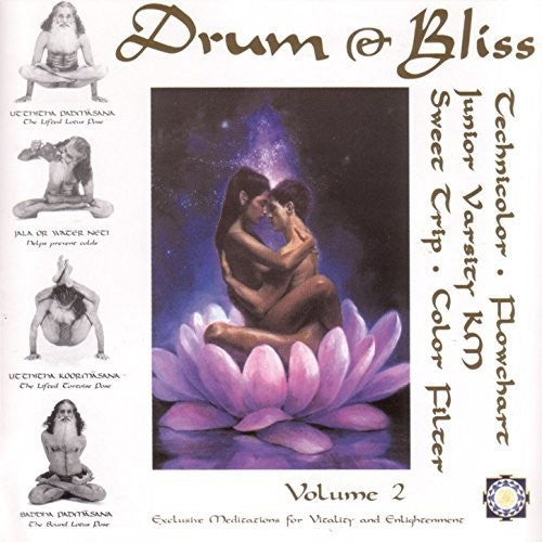 Various Artists - Drum & Bliss 2 (Various Artists) (Vinyl) { vinyl }