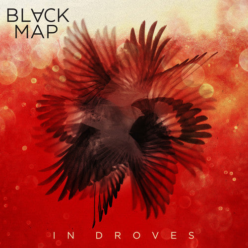 Black Map - In Droves (Vinyl) { vinyl }