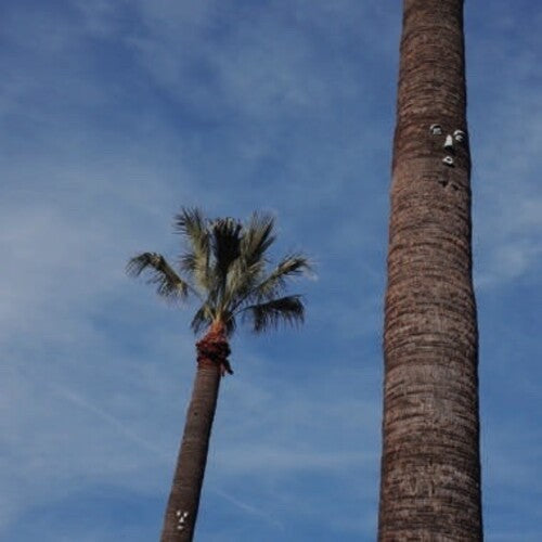 So Stressed - Please Let Me Know (Vinyl) { vinyl }
