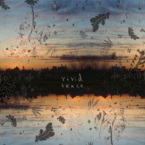 The Options - Vivid Trace (Vinyl) { vinyl }