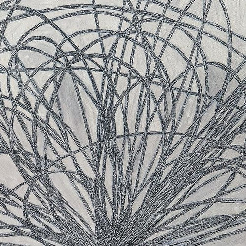 Stafraenn Hakon - Hausi (Vinyl) { vinyl }