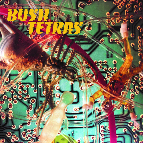 Bush Tertas - There Is A Hum / Seven Years (Vinyl) { vinyl }