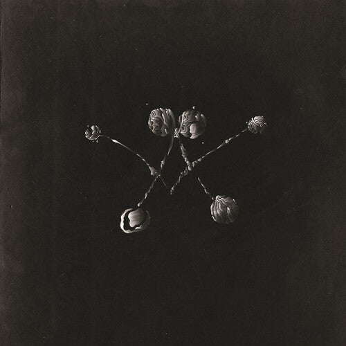 Waterstrider - Nowhere Now (Vinyl) { vinyl }