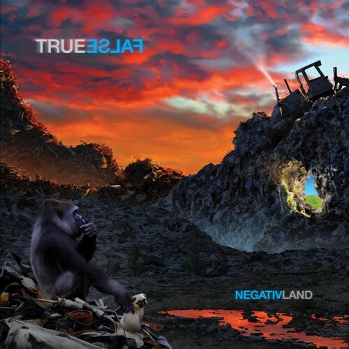 Negativland - True False (Vinyl) { vinyl }