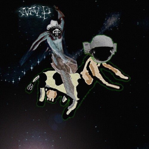 Matt Valentine - Preserves (Vinyl) { vinyl }
