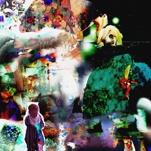 Acidhead - Distractions (Vinyl) { vinyl }