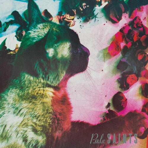 Pale Saints - Comforts Of Madness (Vinyl) { vinyl }
