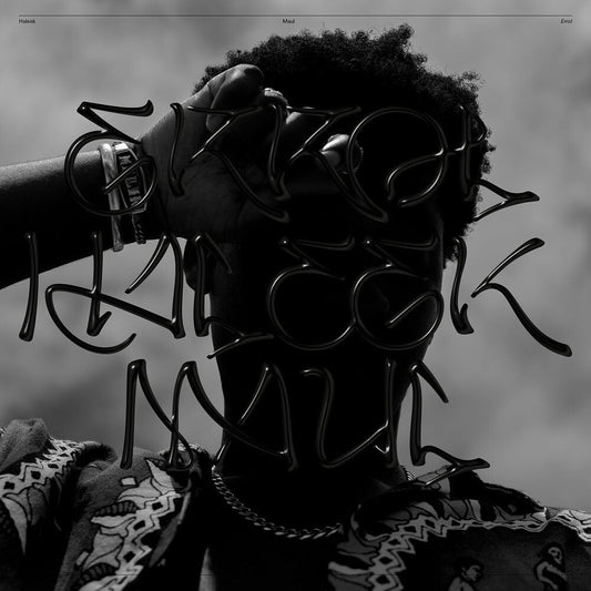 Haleek Maul - Errol (LP) { vinyl }
