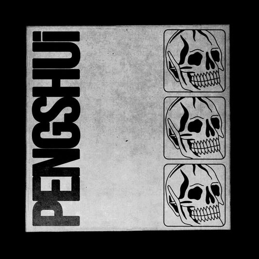 PENGSHUi - Pengshui (LP) { vinyl }