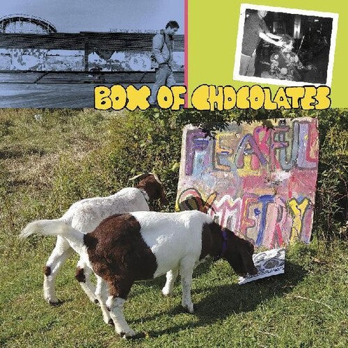 Box of Chocolates - Fearful Symmetry (Vinyl) { vinyl }