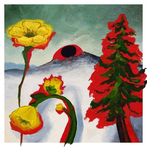 Woods - Strange To Explain (Vinyl) { vinyl }