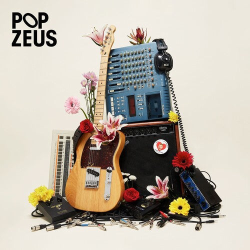 Pop Zeus - This Doesn't Feel Like Home (Unreleased Demos 2011-2014) (Vinyl) { vinyl }