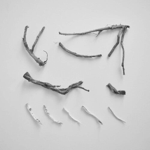 Richard Skelton - These Charms May Be Sung Over A Wound (Vinyl) { vinyl }
