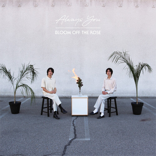 Always You - Bloom Off The Rose (Vinyl) { vinyl }
