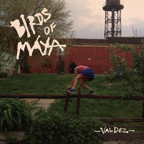 Birds of Maya - Valdez (Vinyl) { vinyl }