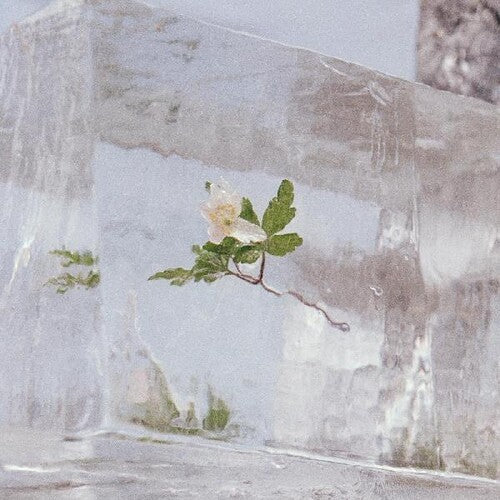 Efterklang - Windflowers (Vinyl) { vinyl }