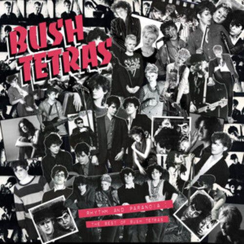 Bush Tetras - Rhythm & Paranoia: The Best of Bush Tetras (Vinyl) { vinyl }