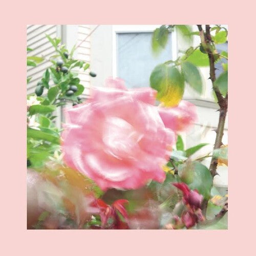 Reds Pinks and Purples - Summer At Land's End (Vinyl) { vinyl }