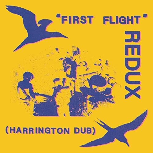 Chris Forsyth - First Flight Redux (Harrington Dub) (Vinyl) { vinyl }