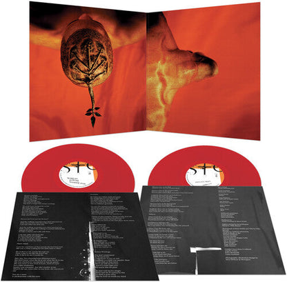 Steve Walsh - Glossolalia - Red (Vinyl) { vinyl }