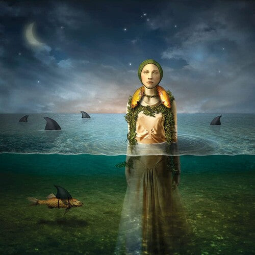 The Bled - Found In The Flood (Vinyl) { vinyl }