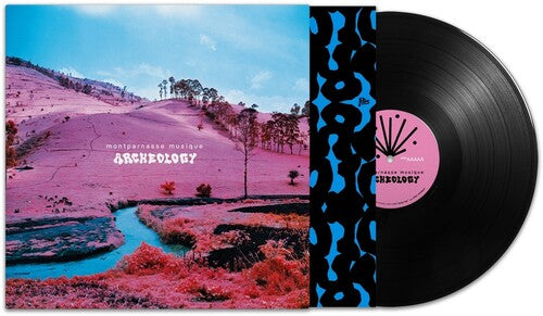 Montparnasse Musique - Archeology (Vinyl) { vinyl }