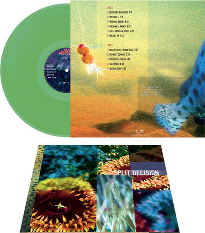 Steve Morse Band - Split Decision - Green (Vinyl) { vinyl }