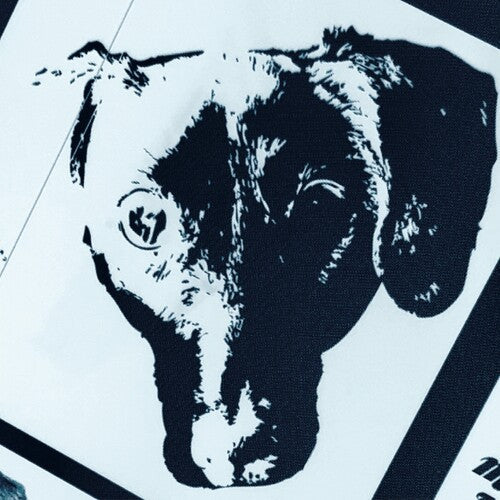 Michael Orchestra Leonhart - Denial (Original Soundtrack) (Vinyl) { vinyl }