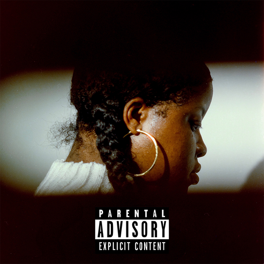 Che Noir & The Other Guys - No Validation (LP) { vinyl }