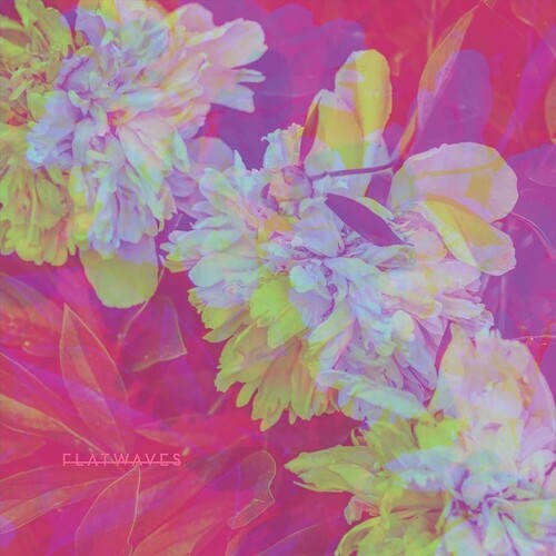 Flatwaves - Numbra (Vinyl) { vinyl }