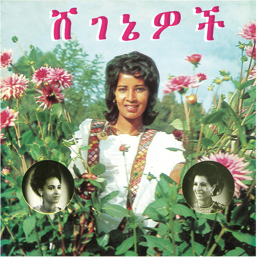 Aselefech Ashine - Beauties (LP) { vinyl }