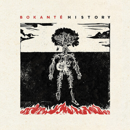 Bokante - History (Vinyl) { vinyl }