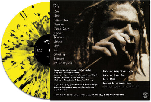 Bigwig - Stay Asleep - Yellow/black Splatter (Vinyl) { vinyl }