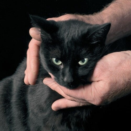 Peter Kernel - White Death, Black Heart (Vinyl) { vinyl }
