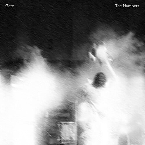 The Gate - The Numbers (Vinyl) { vinyl }