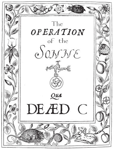 The Dead C - Operation Of The Sonne (Vinyl) { vinyl }