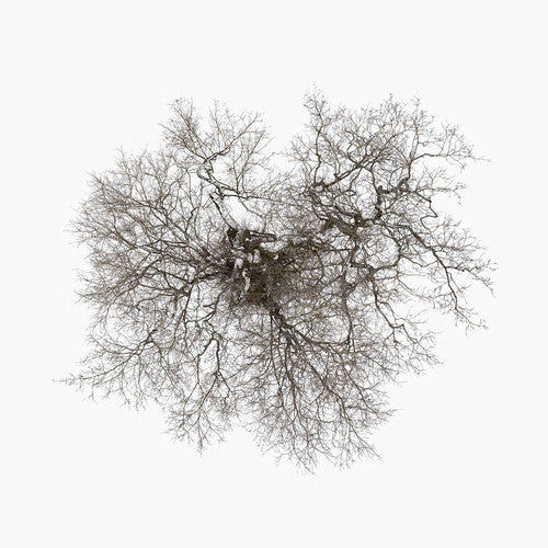 John Metcalfe - Tree (Vinyl) { vinyl }