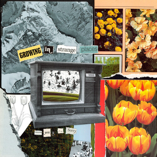 I'm Sorry Thank You - Growing In Strange Places - Orange Crush (Vinyl) { vinyl }