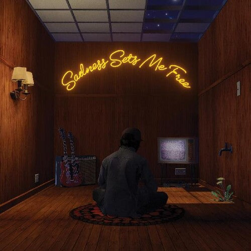 Gruff Rhys - Sadness Sets Me Free (Vinyl) { vinyl }